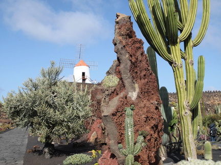 guatiza jardin de cactus 007