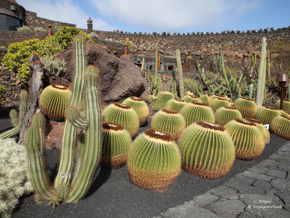 guatiza jardin de cactus 020