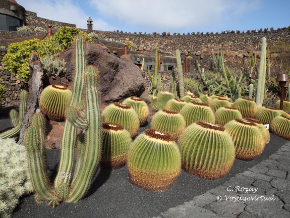 guatiza jardin de cactus 020