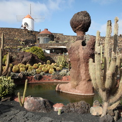 guatiza jardin de cactus 032