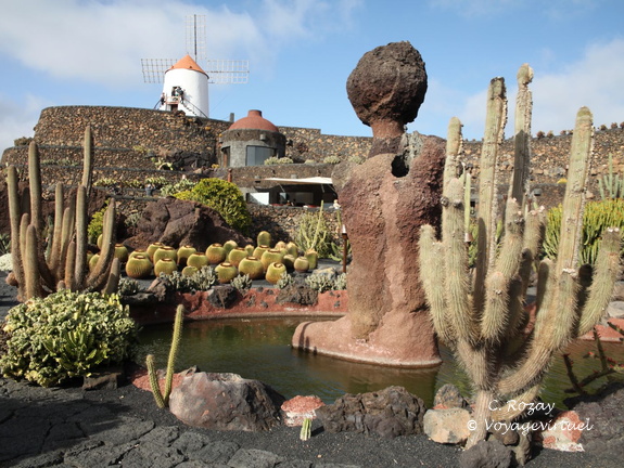 guatiza jardin de cactus 032