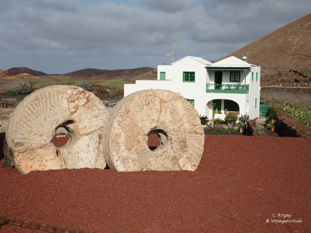 guatiza jardin de cactus 043