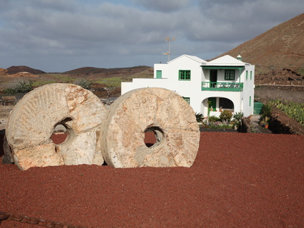 guatiza jardin de cactus 043