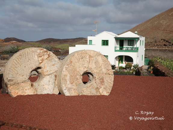 guatiza jardin de cactus 043