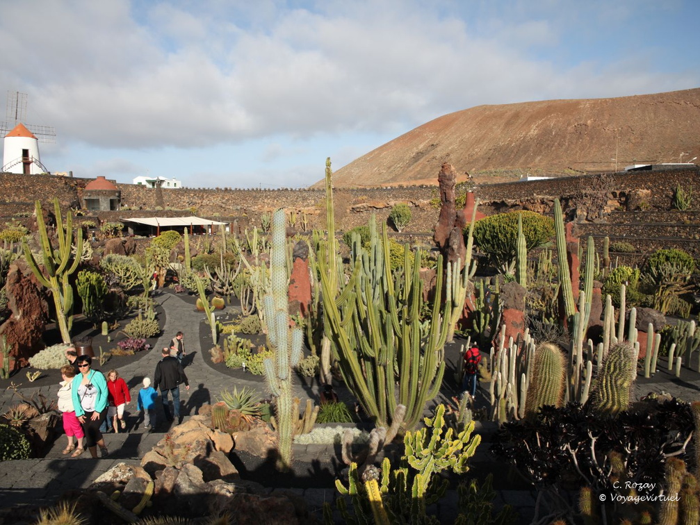 guatiza jardin de cactus 059