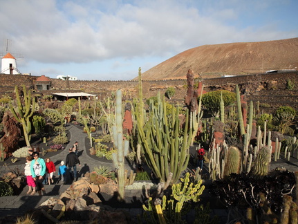 guatiza jardin de cactus 059