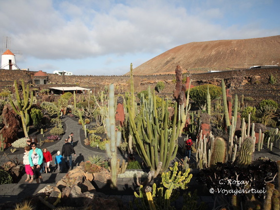 guatiza jardin de cactus 059