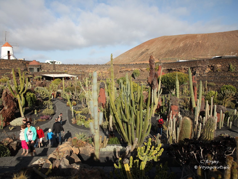 guatiza jardin de cactus 059