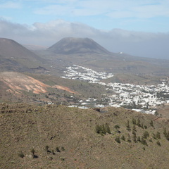 mirador los helechos 002