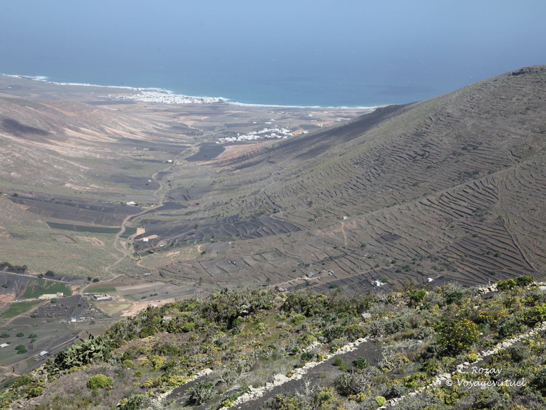 mirador los helechos 006