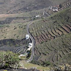 mirador los helechos 011