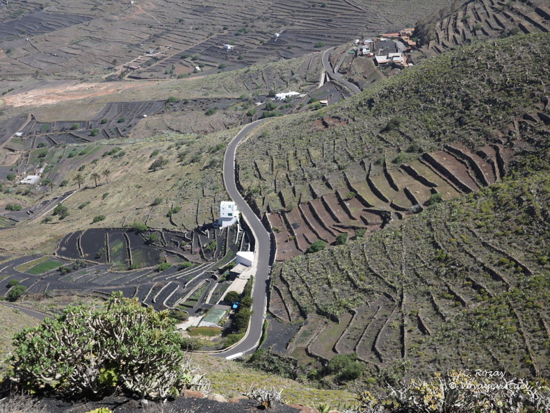 mirador los helechos 011