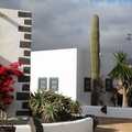 playa blanca lanzarote 057