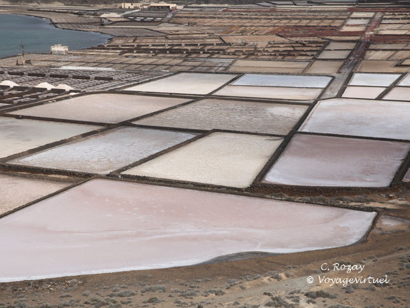 salinas de janubio 012