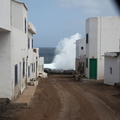 tenesar 013