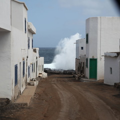 tenesar 013