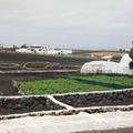 tiagua 004