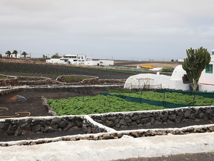 tiagua 004