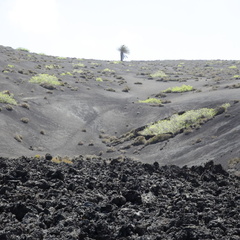 timanfaya 015
