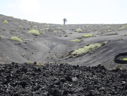 timanfaya 015