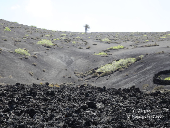 timanfaya 015