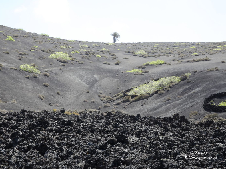 timanfaya 015