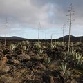 timanfaya 025