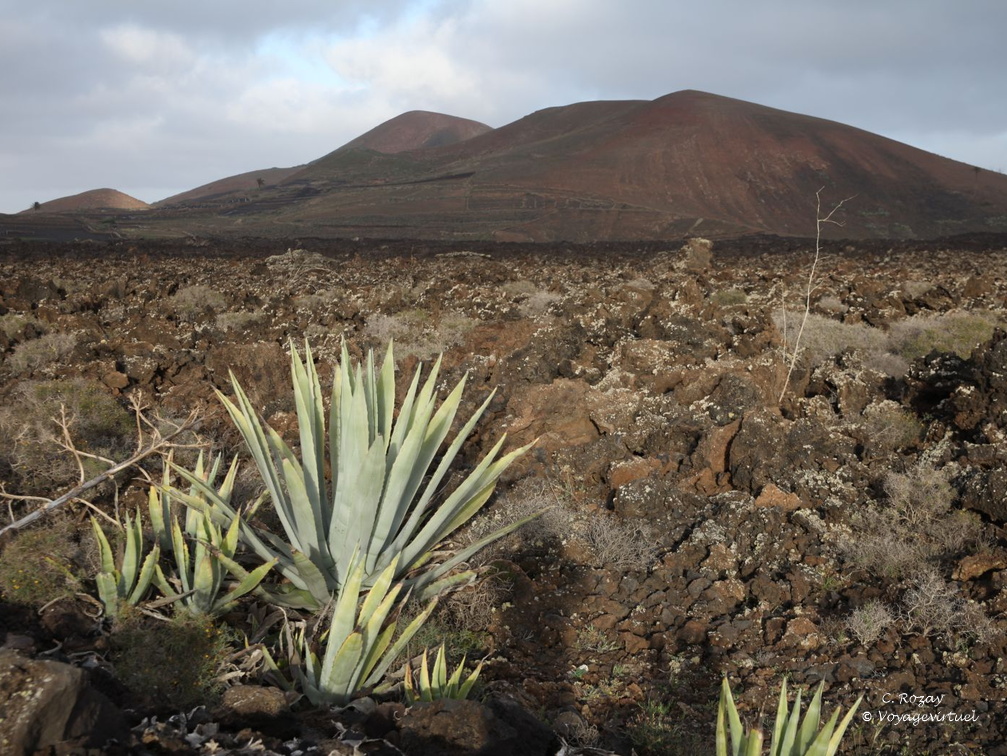 timanfaya 026