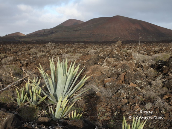timanfaya 026