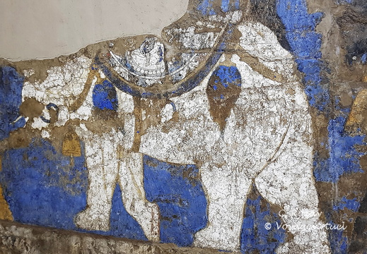 Samarcande Afrasiyab Museum 351