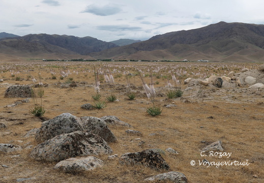 Madzherum Entre Aydarkul et Uhum 14