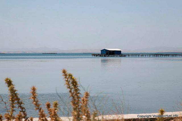 Bizerte, Ichkeul park - Tunisie