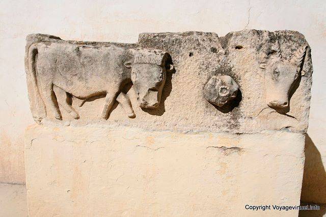 Makthar (مَكْثَر), sculpture animale, bovins - Tunisie