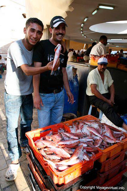 Sfax, au marché, ils sont beaux mes poissons - Tunisie