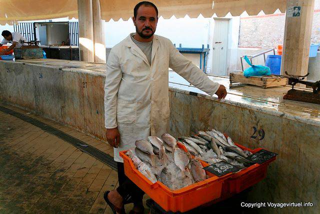 Sfax, poissonnier barbichu - Tunisie