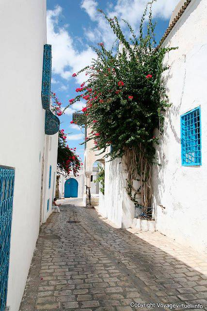 Sidi Bou Said, petite rue à pavement - Tunisie