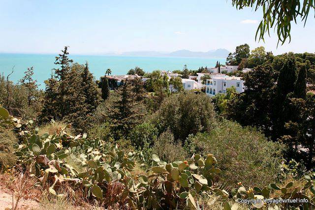 Sidi Bou Said, Villas Cachées Dans la Végétation - Tunisie