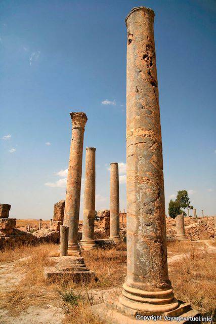 Thuburbo Majus, colonnes circulaires - Tunisie