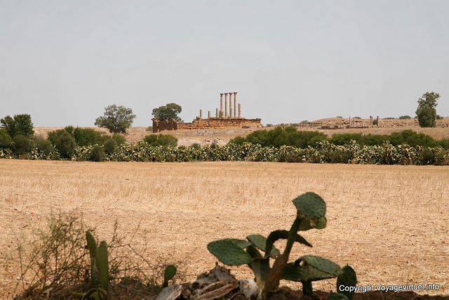 Thuburbo Majus, panorama champêtre - Tunisie