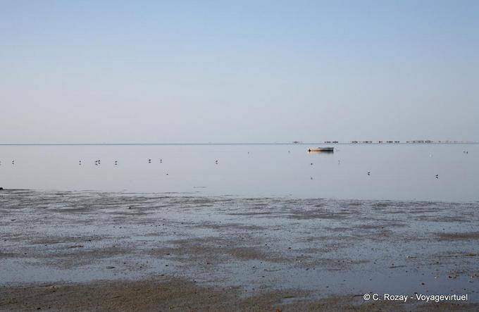 Grève tranquille, Djerba - Tunisie