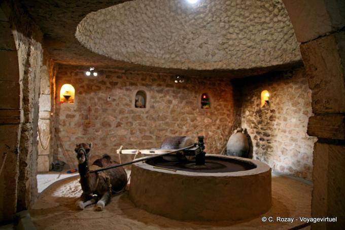 Dromadaire et moulin à blé, Guellala - Tunisie