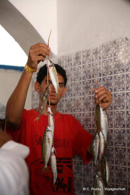 Marché poisson Houmt Souk, Djerba - Tunisie