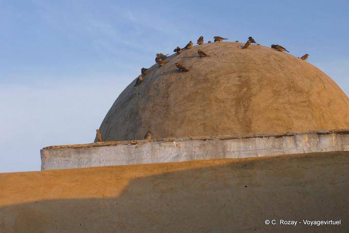Dôme aux oiseaux, Kairouan - Tunisie