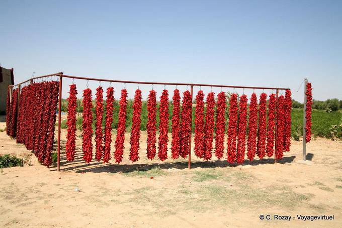 Séchage des piments rouges - Tunisie