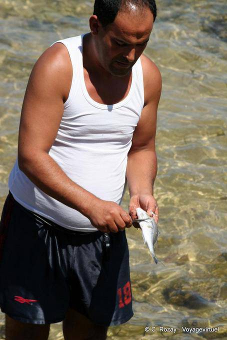 Nettoyage de poisson fraichement pêché, ile Kerkennah - Tunisie