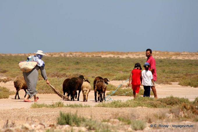 Famille avec son troupeau de moutons, Chergui, Kerkennah - Tunisie