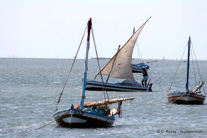 Retour de pêche, el Attaya, Kerkennah - Tunisie