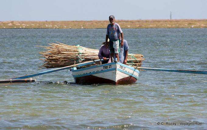 Quotidien de pêcheur, El-Attaya, Iles Kerkennah - Tunisie