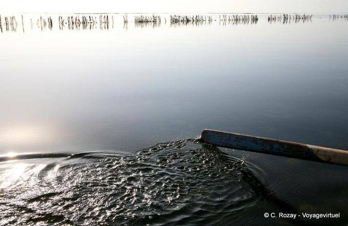 Rame au matin calme, Ouled Kacem, Kerkennah - Tunisie