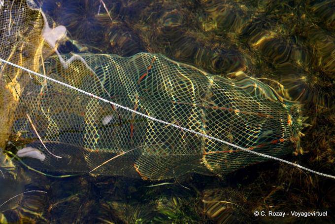 Nasse dans l'eau, au bout de la charfia, Ouled Kacem, Kerkennah - Tunisie